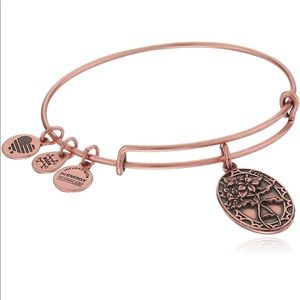 Alex and Ani Friend II Expandable Bracelet